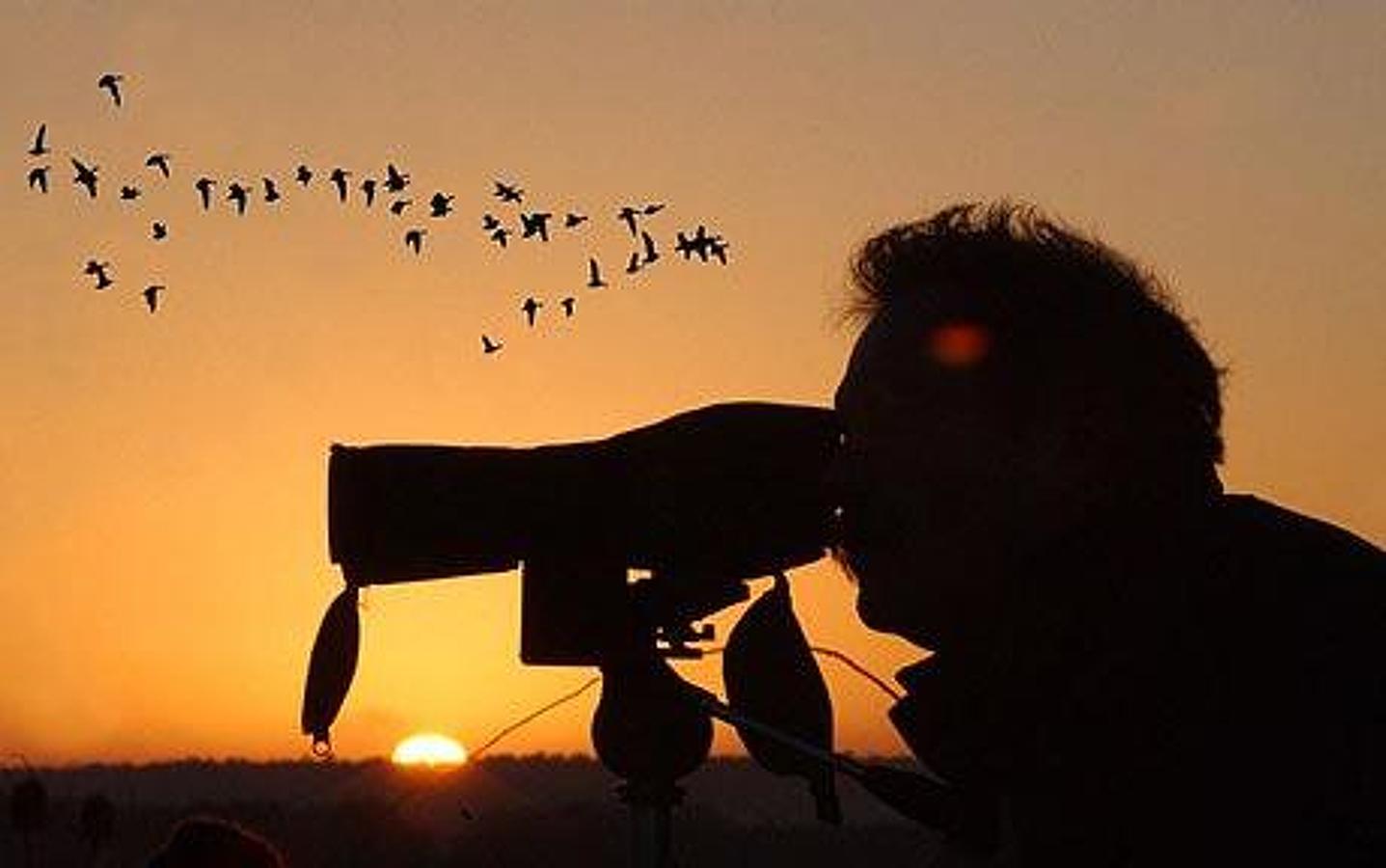 День человека птицы. Бинокль для наблюдения за птицами. Человек наблюдает за птицами. Наблюдение за птицами. Птица с биноклем.
